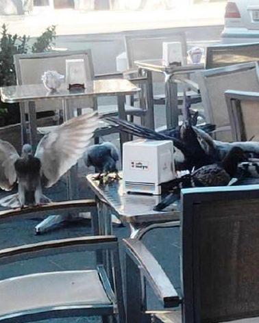 Eventi sportivi, solo una candidatura 