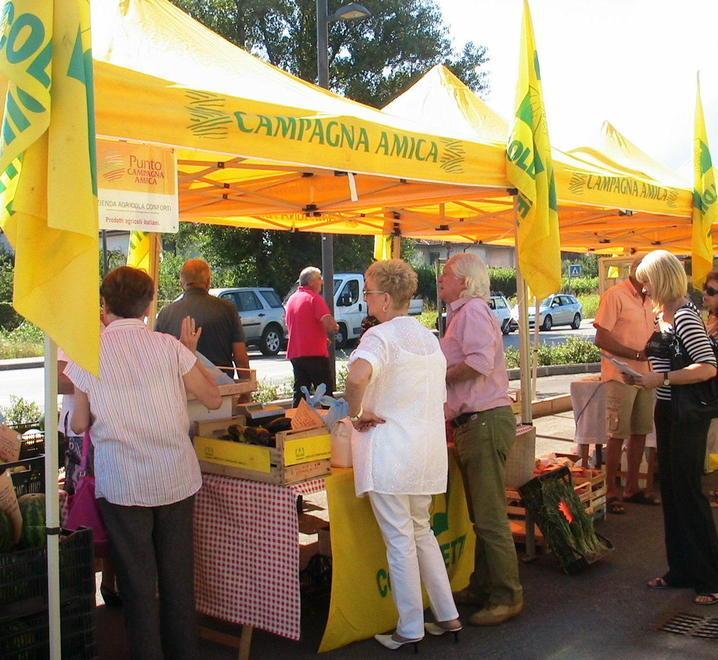  «Facciamo una mostra dei prodotti agricoli che valorizzi Cecina» 