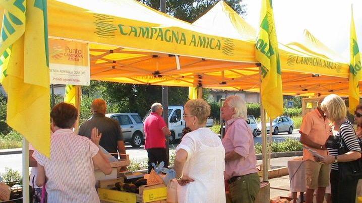 «Facciamo una mostra dei prodotti agricoli che valorizzi Cecina»