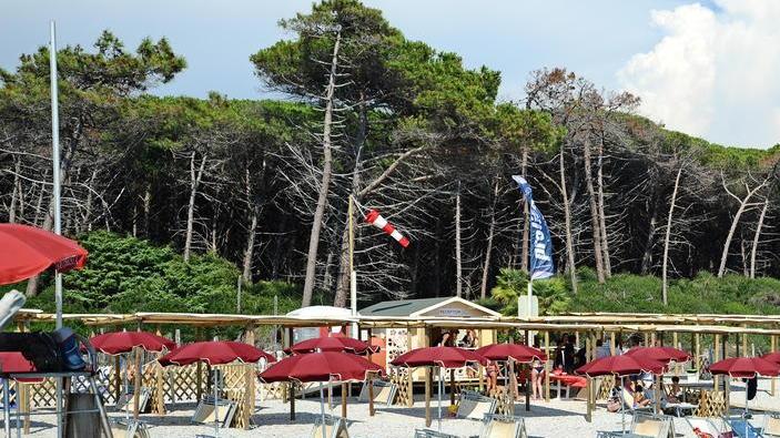 Spiaggia per cani alle Gorette inaugurata l’area attrezzata