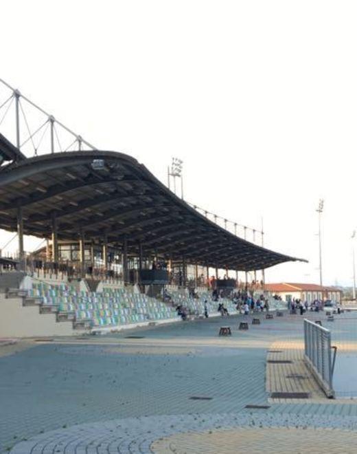 «Galoppo deludente» Pochi i cavalli partenti e corse annullate 