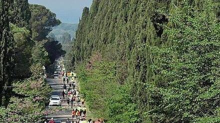 Allarme incendi estivi vietato bruciare sterpaglie