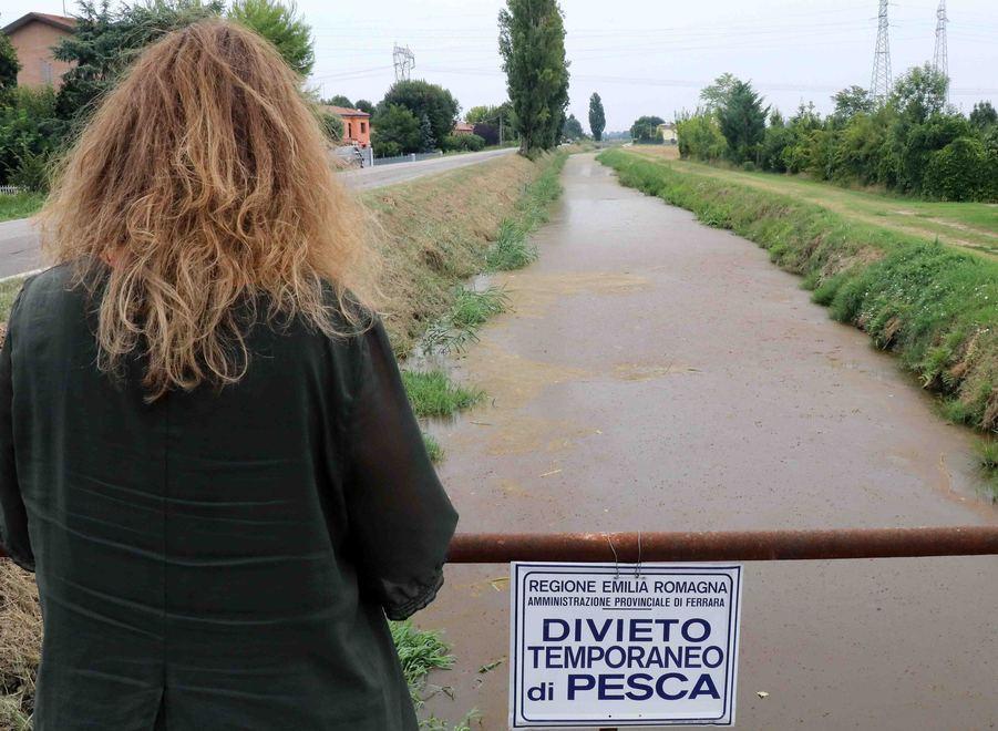 Naviglio pieno di alghe M5s: colpa delle fogne fermate l’irrigazione