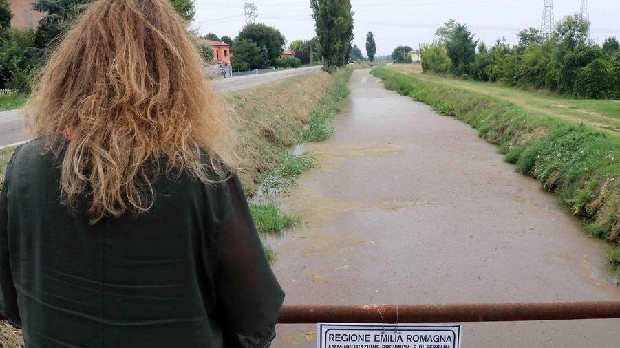 Naviglio pieno di alghe M5s: colpa delle fogne fermate l’irrigazione