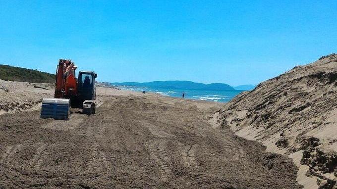 Alghe interrate in spiaggia interviene il difensore civico