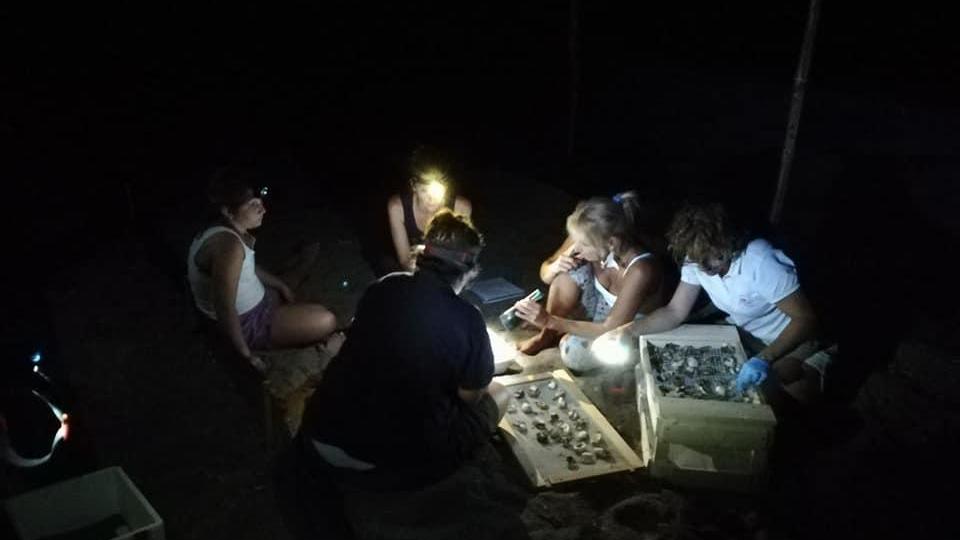 Le biologhe di TartaMare (Osservatorio toscano biodiversità) durante lo scavo in corrispondenza del cratere fino alla camera