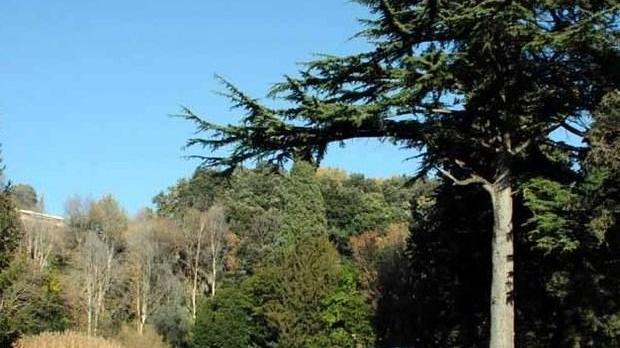 Terra, che passione E adesso alla Padula nascono gli orti urbani