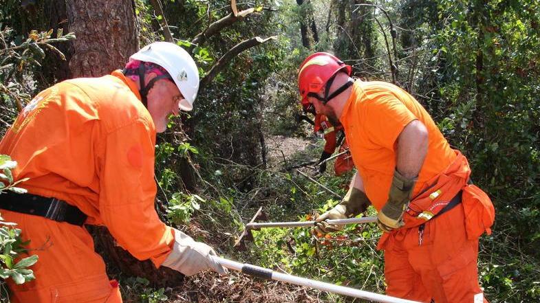 Quarto rogo in pineta in pochi giorni