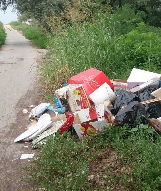 Rifiuti abbandonati Lo scempio continua