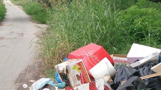 Rifiuti abbandonati Lo scempio continua