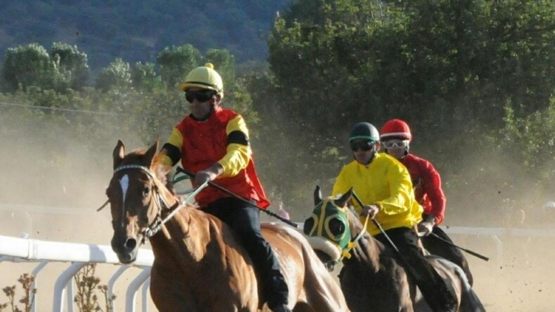 Cavalli al galoppo per la gara simbolo 