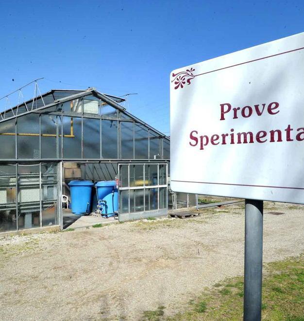 Salvare il Cespevi, il centro per il vivaismo, costa un milione: Fondazione Caripit apre il portafogli 