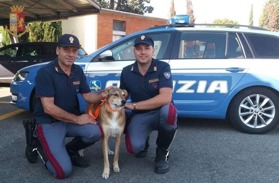 Tragico schianto in autostrada, Sibilla è tornata a casa 