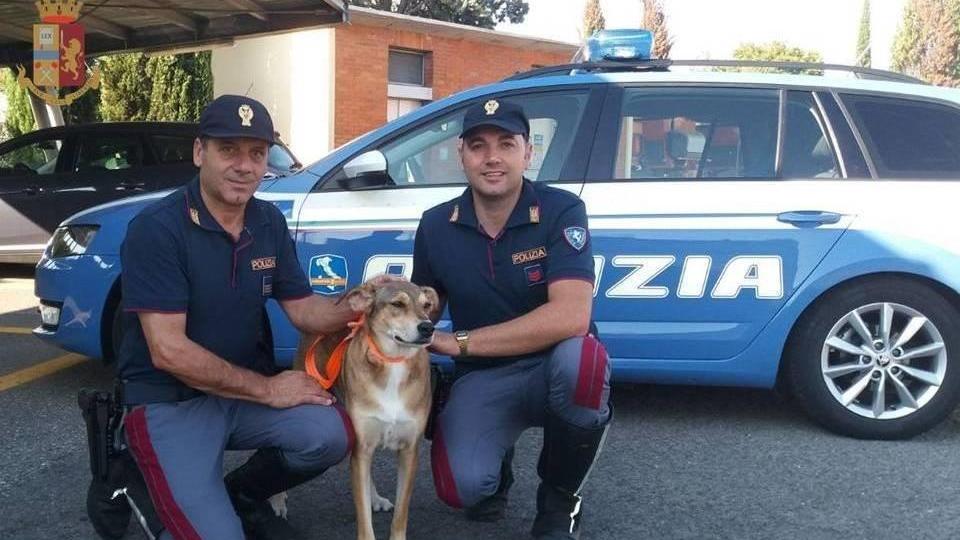 Tragico schianto in autostrada, Sibilla è tornata a casa