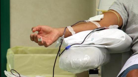 Il sangue scarseggia «Continuate a donare»