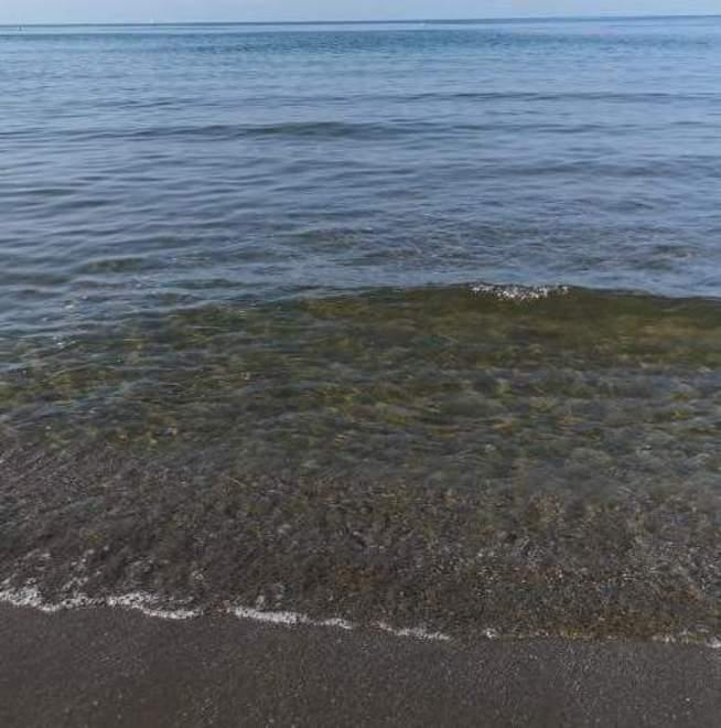 Mare verde-marrone Poccia replica ai turisti «L’acqua è pulita» 