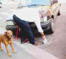 Guardie volontarie contro i cani che sporcano 