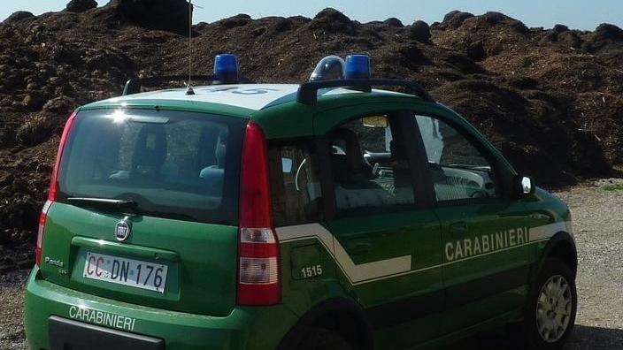 Usano il bosco come discarica Due denunciati dai Forestali