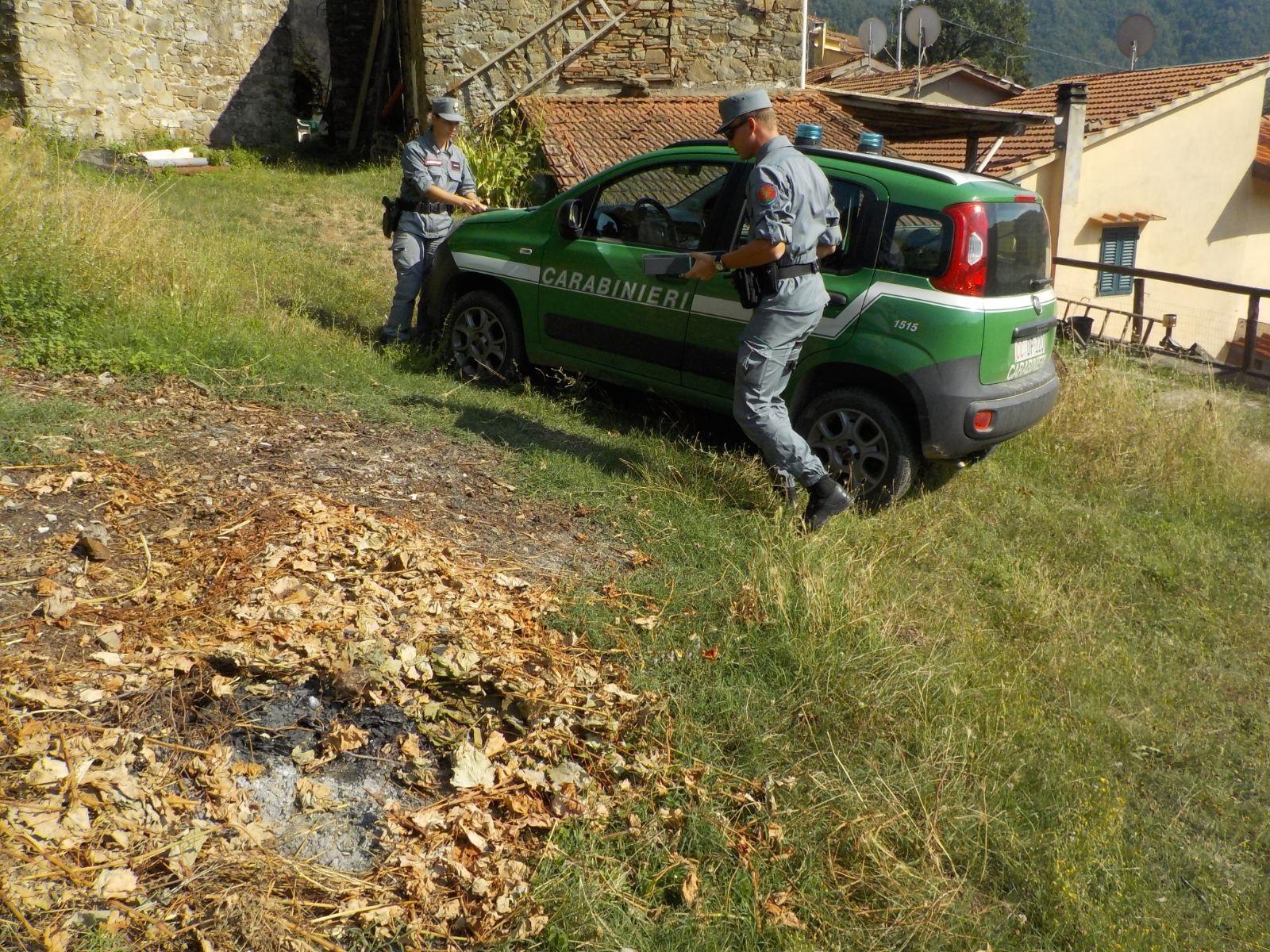 Carabinieri forestali in servizio a Vernio