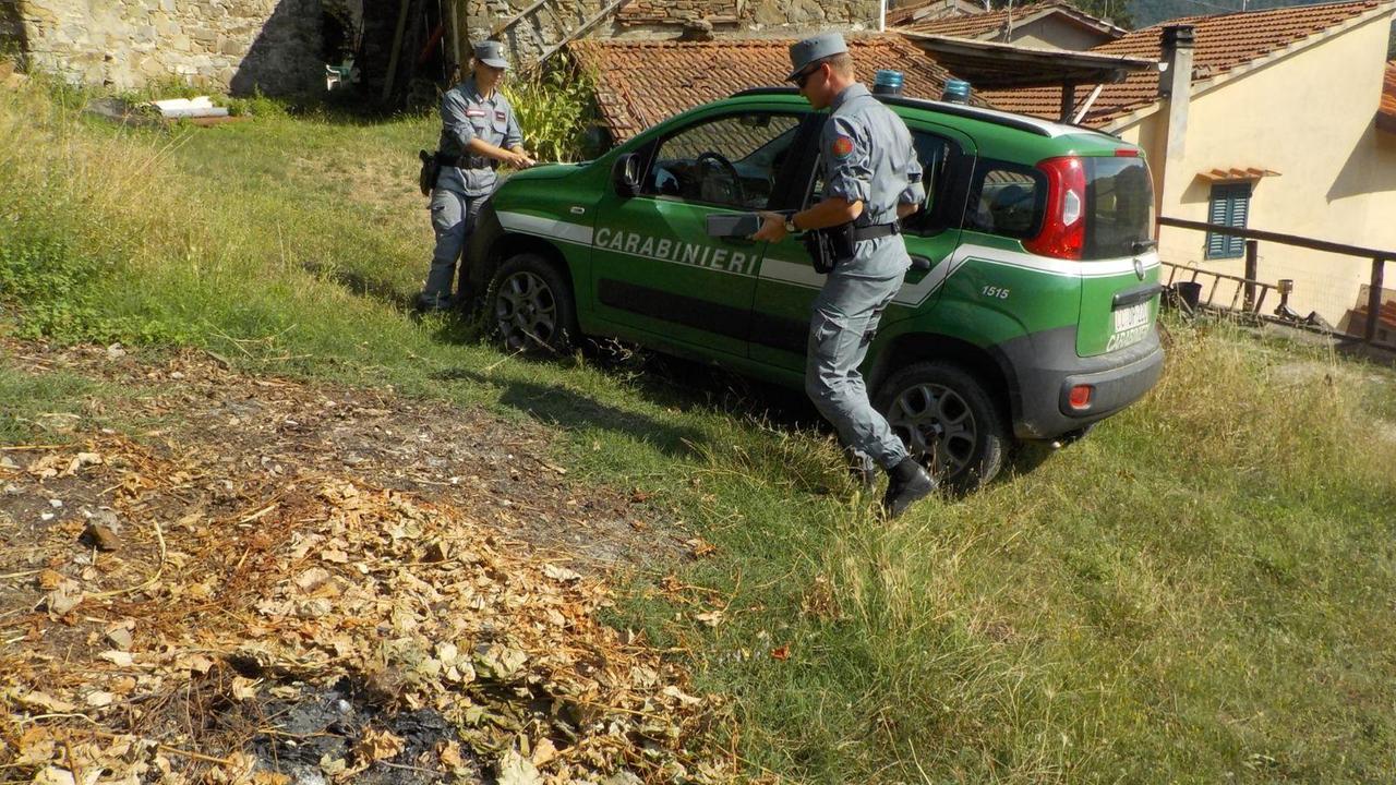 Carabinieri forestali in servizio a Vernio