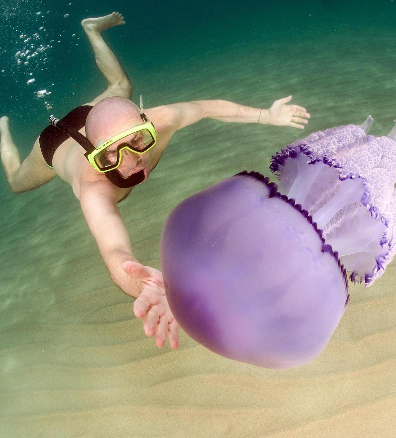 Un'immagine scattata nel mare di Lotzorai