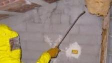 Invasione di calabroni Pompieri al lavoro
