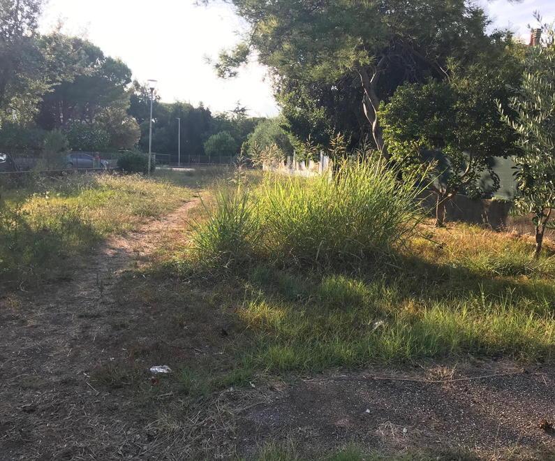 Parco ko, i ragazzi disegnano le strisce del campo da basket 