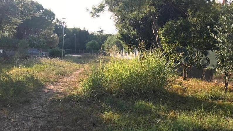 Parco ko, i ragazzi disegnano le strisce del campo da basket