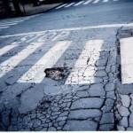 Gli angoli degradati della Versilia: le segnalazioni dei lettori