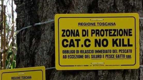 Task-force a Bassa contro il bracconaggio