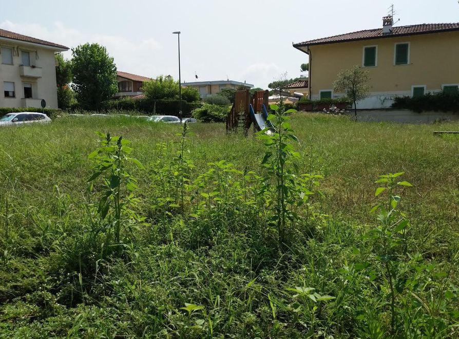 Il parchetto di via Garibaldi in preda alle erbacce