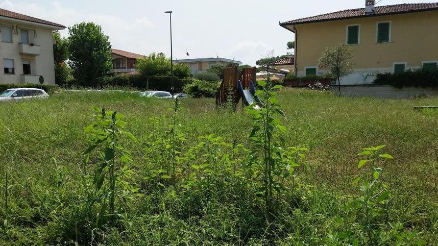 Il parchetto di via Garibaldi in preda alle erbacce