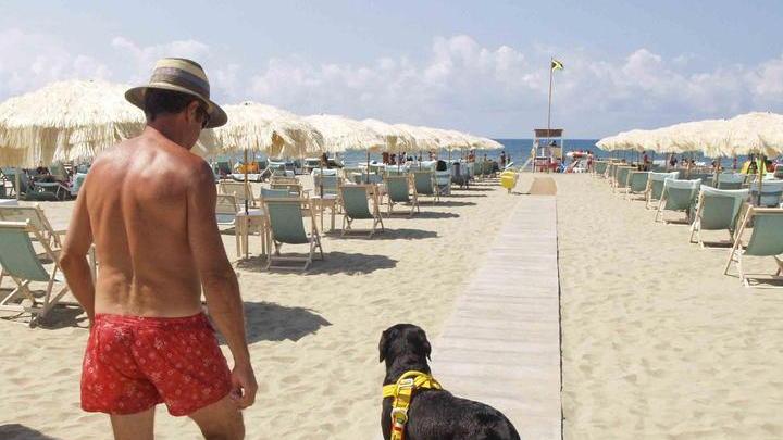 Cani di assistenza limiti in spiaggia Protesta una disabile