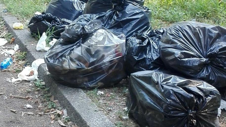 Abbandono rifiuti in piscina