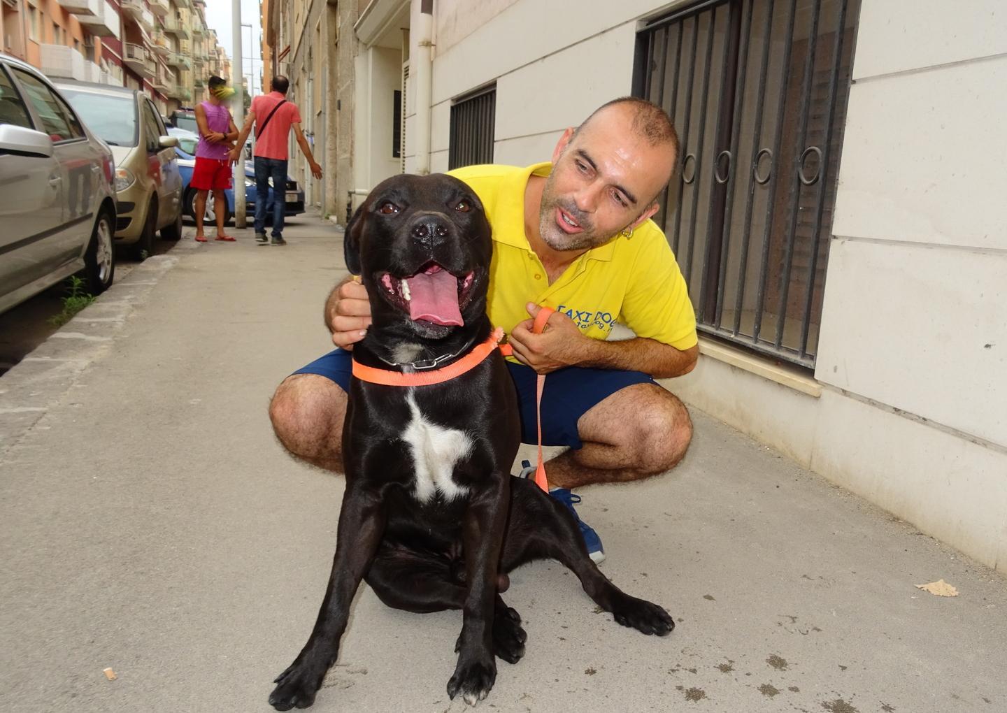 Il padrone sviene, ma il suo cane “Turbo” lo protegge 