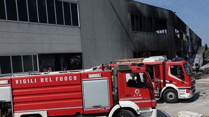 Rogo a Pietrasanta, l’appello del sindaco: «Bisogna ampliare il raggio delle analisi»