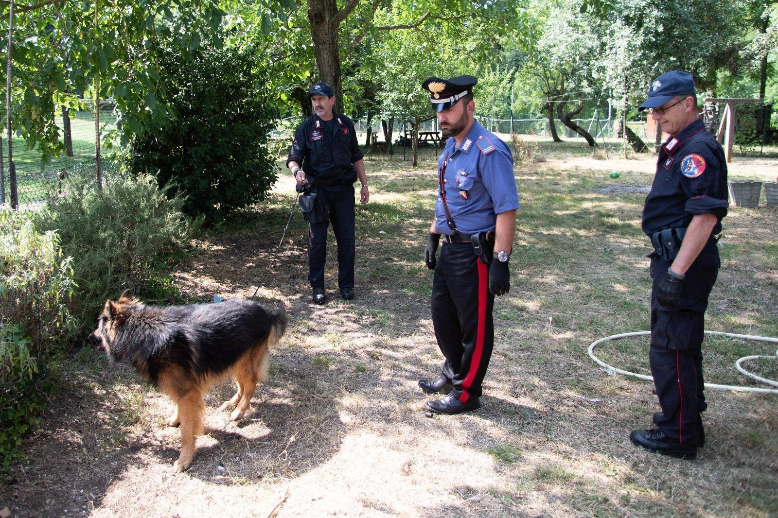 Il cane Batman (foto d'archivio)