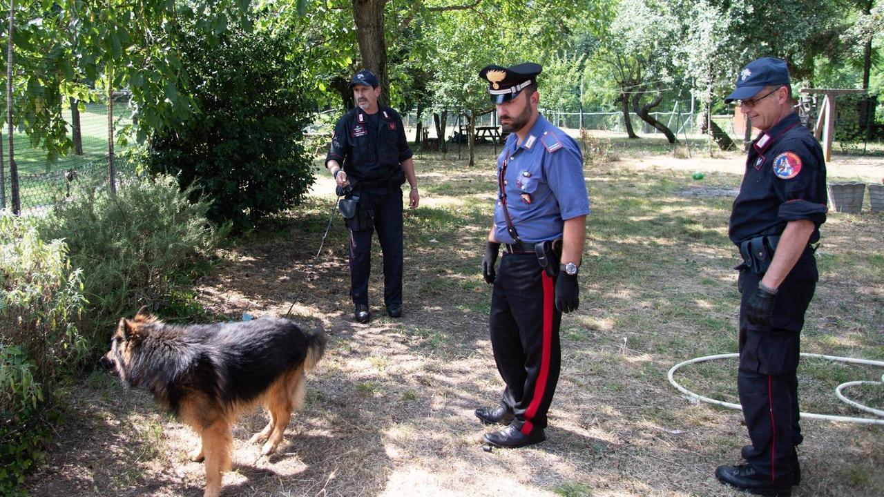 Il cane Batman (foto d'archivio)