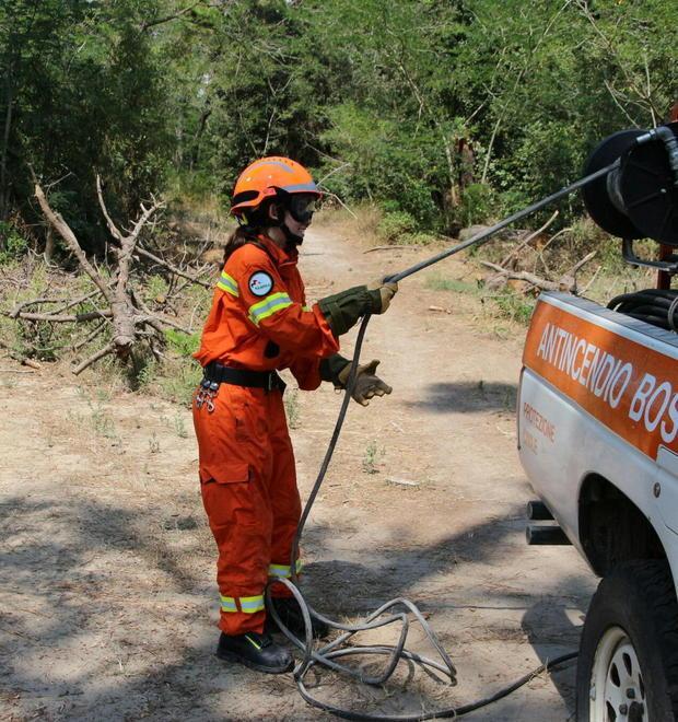 Altri tre incendi nella pineta in Darsena: è caccia al piromane 