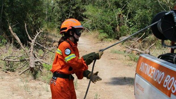 Altri tre incendi nella pineta in Darsena: è caccia al piromane