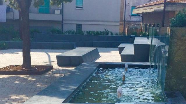 Ancora pesci morti nel fosso Cervia