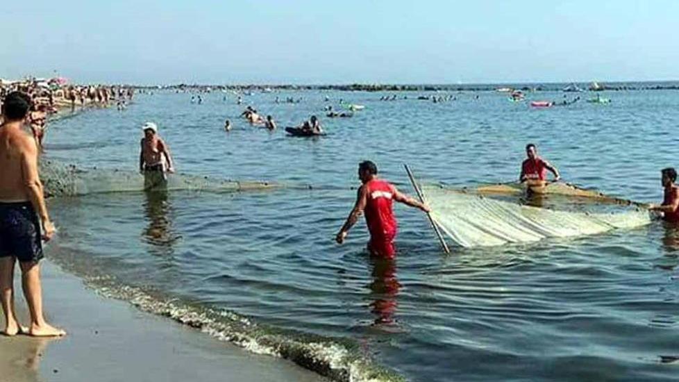 Il mare della Partaccia invaso dalle alghe: «Una vergogna, non possiamo fare il bagno»