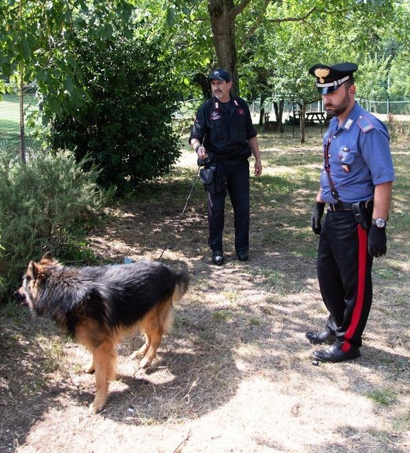Comprano droga per le vacanze inchiodati dal cane Batman 