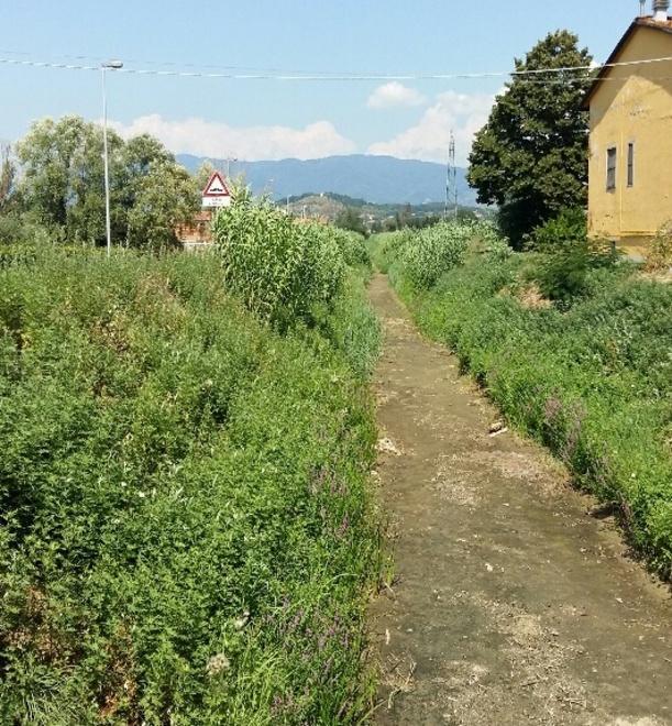La strada si sente dimenticata tra erba alta e lavori a metà 