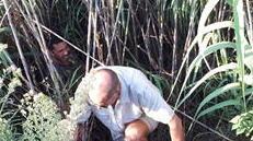 Merce contraffatta nascosta nel canneto