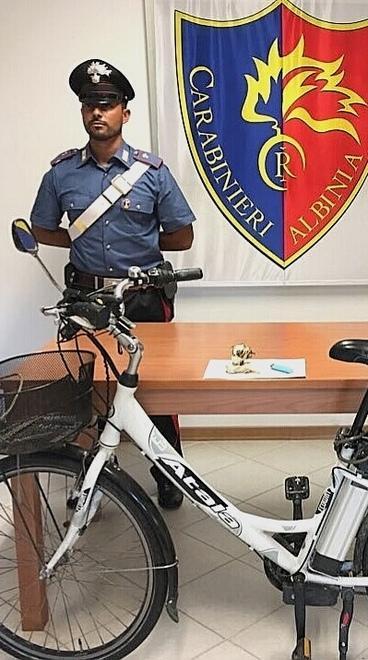 Appicca le fiamme alla pineta, arrestato 