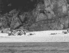 Spiagge in gabbia fra reti e cancelli 