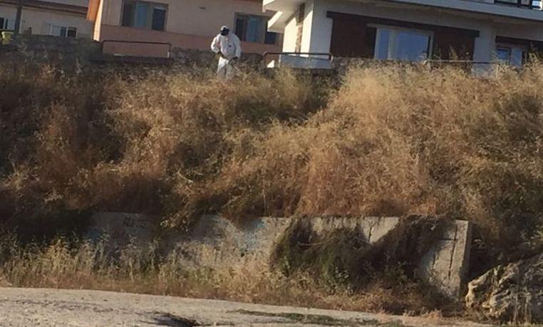 Sfalciatori in azione nelle spiagge