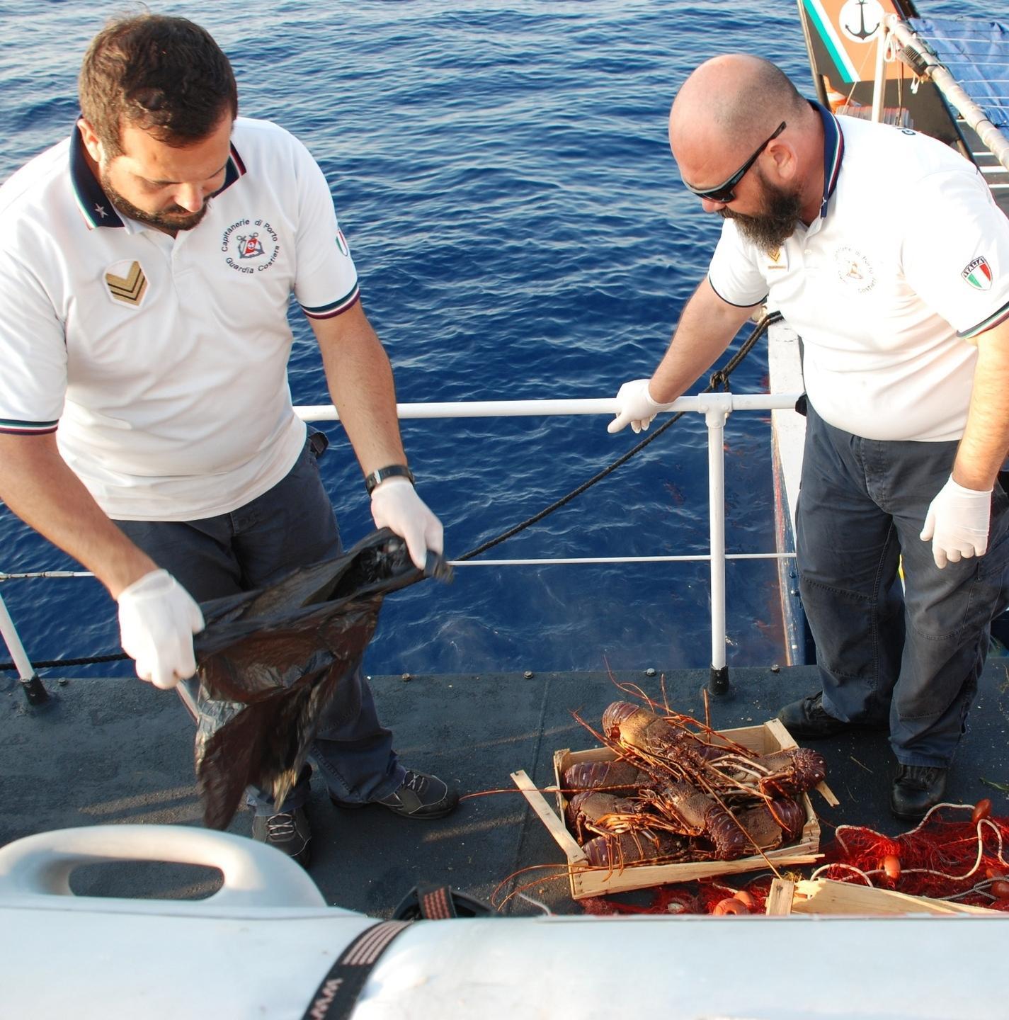 Pesca di frodo all’Asinara, nel bottino anche aragoste 