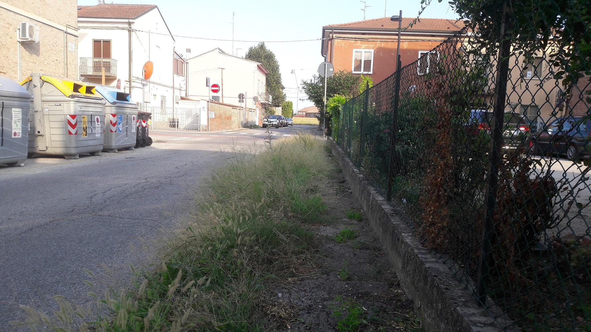 Una piccola giungla sul marciapiede